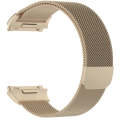 For FITBIT Ionic Milanese Watch Band, Large Size : 24X2.2cm(Champagne Gold)
