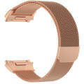 For FITBIT Ionic Milanese Watch Band, Large Size : 24X2.2cm(Rose Gold)