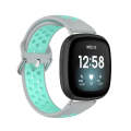 For Fitbit Versa 4 / Sense 2 Dual Color Silicone Watch Band(Gray Teal)