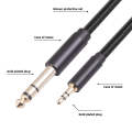 3662BK 3.5mm Male to 6.35mm Male Stereo Audio Cable, Length:1m
