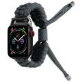 Stretch Plain Silicone Bean Watch Band For Apple Watch Ultra 2 49mm(Dark Grey)