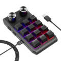 USB Wired 12KV2 MOLD Mini Mechanical 12 Keys 2 Knob Custom Programming Keyboard(Black)