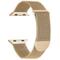 For Apple Watch Ultra 49mm Milanese Metal Magnetic Watch Band(Gold)