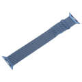 For Apple Watch SE 44mm Milanese Metal Magnetic Watch Band(Blue)
