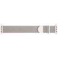 For Apple Watch SE 2023 40mm Milanese Metal Magnetic Watch Band(Starlight)
