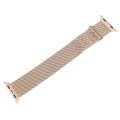 For Apple Watch Ultra 2 49mm Milanese Metal Magnetic Watch Band(Retro Gold)
