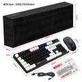 HXSJ L98 2.4G Wireless RGB Keyboard and Mouse Set 104 Keys + 1600DPI Mouse(White)