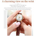 OLEVS 6896 Women Multifunctional Luminous Waterproof Quartz Watch(White)