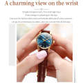 OLEVS 6896 Women Multifunctional Luminous Waterproof Quartz Watch(Blue)