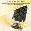 WK D43 Mini Karaoke Bluetooth Speaker(Beige)