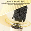 WK D43 Mini Karaoke Bluetooth Speaker(Black)