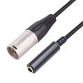 0.3m 6.35mm Female to XLR Male Microphone Audio Conversion Cable