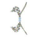 For Apple Watch SE 40mm Paracord Gypsophila Beads Drawstring Braided Watch Band(Rainbow)