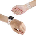 For Apple Watch SE 44mm Stretch Resin Watch Band(Mermaid Powder)