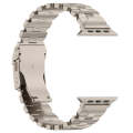 For Apple Watch SE 2023 40mm Butterfly Type Titanium Steel Watch Band(Titanium)