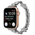 For Apple Watch SE 2023 44mm 5-petaled Flower Zinc Alloy Chain Watch Band(Black)
