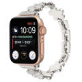 For Apple Watch SE 2023 44mm 5-petaled Flower Zinc Alloy Chain Watch Band(Silver)