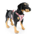 FunAdd Traction Rope Reflective Breathable Nylon Pet Vest Dog Harness, Size: M (Pink)