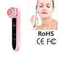 BLK-D919 RF Instrument Facial Vibration Compact Lifting Massager Micro Current Beauty Instrument(...