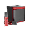 YS-203 Bluetooth Karaoke Speaker Wireless Microphone(Red)