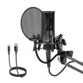 Yanmai X2 Active Noise Reduction Cardioid Pointing Capacitive Recording Microphone Set with Blowo...