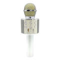 WS-858 Metal High Sound Quality Handheld KTV Karaoke Recording Bluetooth Wireless Microphone, for...
