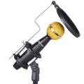 AQ-230 Zinc Alloy K Song Live Recording Noise Reduction Capacitor Microphone, with Shock Mount
