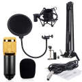 BM-800 Network K-Song Dedicated High-end Metal Shock Mount Microphone Set(Black)