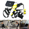 P3-2 Adjustable Fitness Exercise Hanging Pulling Rope TRP3X Wall Pulley Yoga Belt, Main Belt: 1.4...