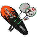 REGAIL 8019 2 PCS Carbon Durable Badminton Racket for Beginners (Green)
