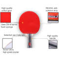 REGAIL 8020 2 in 1 Short Handle Penhold Ping Pong Racket + Ping Pong Ball Set for Training