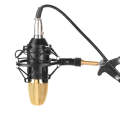 FIFINE F-700 Professional Condenser Sound Recording Microphone with Shock Mount for Studio Radio ...