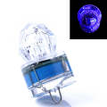 Deep Sea Night Fishing Diamond LED Flashing Light / Under Water Attract Fish Bait Lure Lamp (Rand...