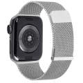 For Apple Watch Ultra 49mm Milan Double Magnetic Steel Mesh Watch Band(Silver)