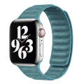 For Apple Watch 8 45mm Denim Magnetic Watch Band(Cyan)