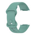 For Fitbit Charge 6 Solid Color Butterfly Buckle Silicone Watch Band, Size:S Size(Pine Green)