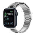 For Apple Watch SE 2022 40mm Bamboo Magnetic Stainless Steel Metal Watch Strap(Silver Black)