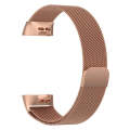 Stainless Steel Magnet Watch Band for FITBIT Charge 4 / 3, Large Size: 210x18mm(Rose Gold)