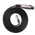 Xlrmini Caron Female To Mini Male Balancing Cable For 48V Sound Card Microphone Audio Cable, Leng...
