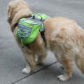 Self-Portable Backpack For Dogs Out Of The Backpack Breathable Mesh Pet Bag, Specification: M(Green)