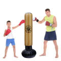 PVC Adult Children Thick Vertical Inflatable Punching Bag Tumbler Inflatable Boxing Column, Heigh...