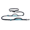 Running Reflective Double Telescopic Dog Rope Dog Chain Traction(Black D Ring Water Green)