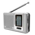 INDIN BC-R2011 AM FM Radio Pocket Mini Wide Reception Telescopic Antenna Radio(Silver Gray)