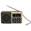 Y-928 FM Radio LED Display MP3 Support  TF Card U Disk(Gold)