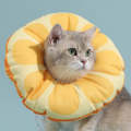 Cat Elizabeth Collar Kitten Anti-licking Collar Head Cover, Size: L(Orange)