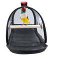 Transparent Ventilation With Wooden Standing Stick Bird Cage Small Pet Out Bag, Specification: S