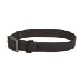 PVC Pet Loop Horsarine Dog Collar, Size: M(Black)