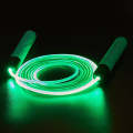 Glowing Skipping Rope Fitness Exercise Student Racing Training(Green)