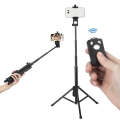 YUNTENG 1688 Selfie Stick Tripod Bluetooth Remote Control Camera Stand(Black)