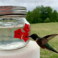 Hanging Bird Feeder Outdoor Hummingbird Feeder Jar